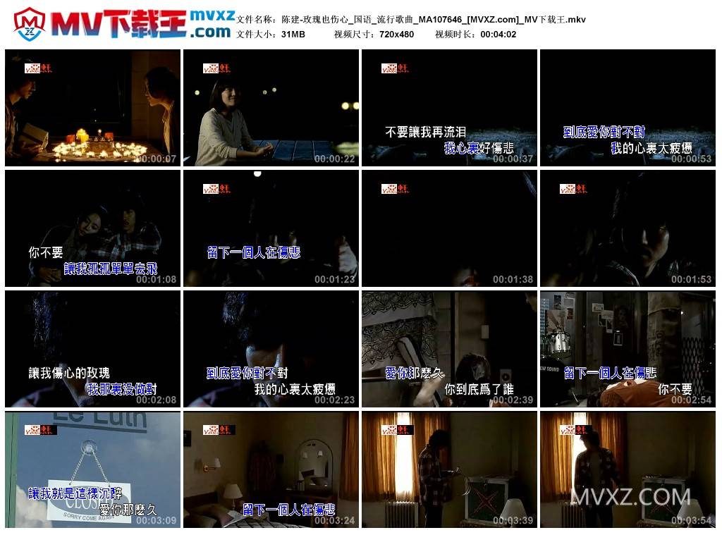 陈建-玫瑰也伤心_国语_流行歌曲_MA107646